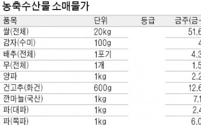 봄 농사 풍년에 출하량 늘어…배추·양배추 가격 안정세