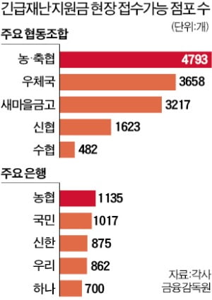 '실핏줄 점포망'의 힘…농협, 재난지원금 신청 1위