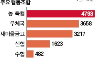 '실핏줄 점포망'의 힘…농협, 재난지원금 신청 1위