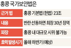 美·中 '홍콩 보안법' 충돌…트럼프 "강하게 다룰 것" 경고