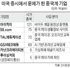 美 상장된 '中주식 투자' 적색경보