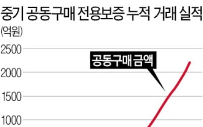 中企 공동구매 보증 올해 처음 1000억 넘을 듯