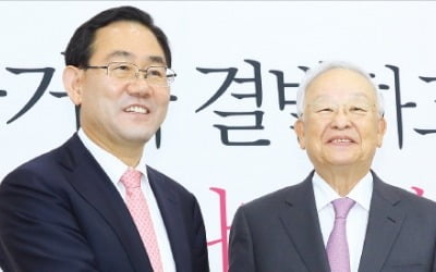 김종인 비대위 출범도 안했는데…중진들 '태클'