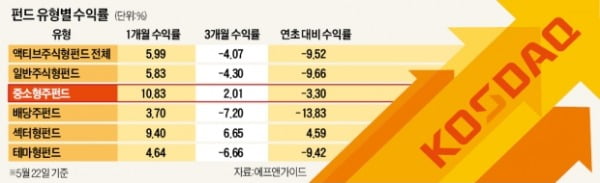 코스닥 랠리에 중소형株 펀드 '기지개'