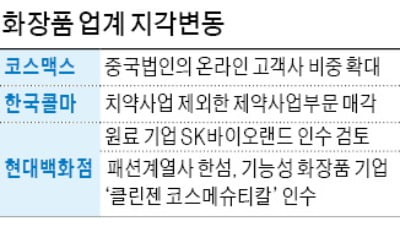 화장품시장 소리없는 지각변동…패션유통업체 줄줄이 입성