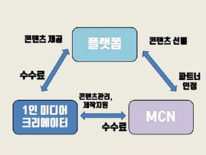 “저에겐 양팡이 BTS죠” 1인 크리에이터 응원하는 유튜브 팬덤 증가