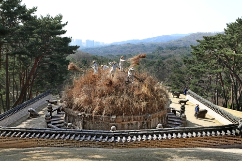 [문화유산] 왕과 시민과 야생동물의 쉼터 동구릉