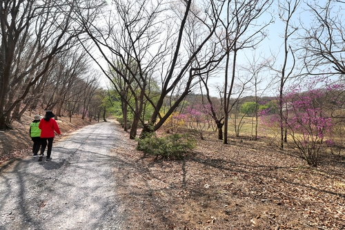 [문화유산] 왕과 시민과 야생동물의 쉼터 동구릉