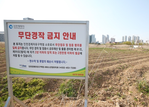 인천 송도국제도시 빈땅 무단 경작하는 주민들로 '골머리'