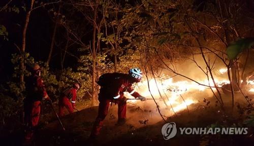 "불길이 50ｍ까지 근접했지만 대피 훈련·주민 덕에 무사합니다"