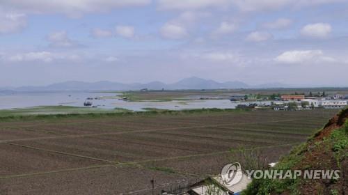 북한, 습지·물새 실태 조사…판문벌서 물새 21종 관찰