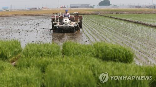 익산시 한아름찰벼, CJ 계열사에 고추장 원료곡으로 공급