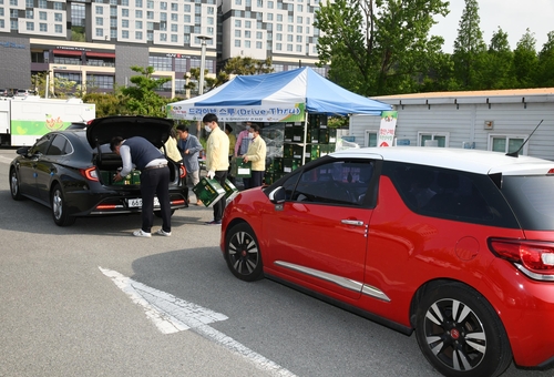 당도 높은 함안 수박, 경남도청 일대서 '승차 구매'