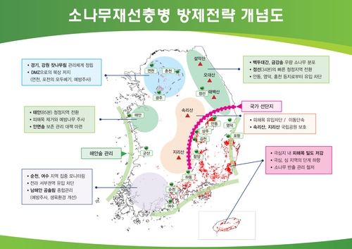 소나무재선충병 피해 전년보다 17% 줄어…경북·제주 피해 감소