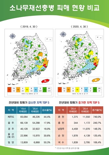 소나무재선충병 피해 전년보다 17% 줄어…경북·제주 피해 감소
