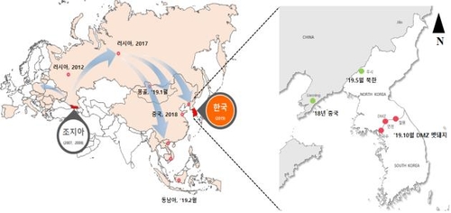 러·중서 유행한 ASF 바이러스, 북한 거쳐 국내 멧돼지로 유입