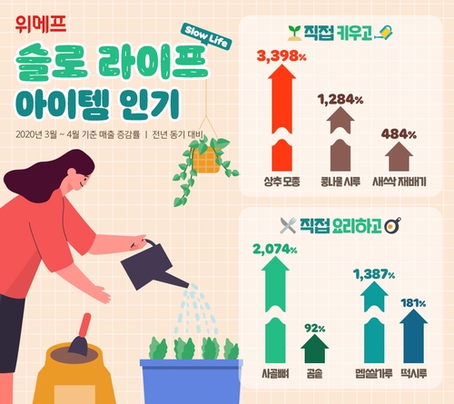 콩나물·상추 직접 길러먹는다…'슬로 라이프' 아이템 판매 증가