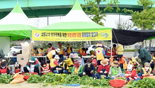 구리시, 축제 취소하고 유채 김치 담가 3천가구에 전달