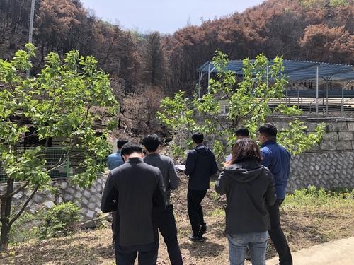 봄철 대형 산불 피해지 합동 조사…복구계획 세운다