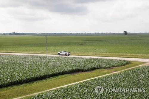 "시카고 분리해달라"…美일리노이주 중남부 지자체 주민투표키로