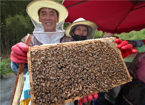 세계인 입맛 사로잡은 산청 꿀 수확…350개 농가 연소득 300억