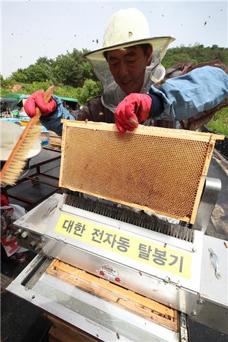 세계인 입맛 사로잡은 산청 꿀 수확…350개 농가 연소득 300억