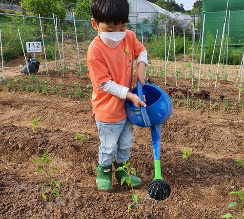 텃밭서 코로나19 피로감 치유…대구 3곳 분양 완료