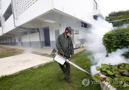 태국, 동북부 지역 뎅기열 확산에 아프리카말병도 기승