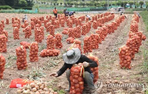 전북도, '농산물 최저가격 보장제' 신청기간 6월 19일까지 연장