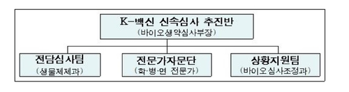 식약처, 코로나19 백신 '신속심사 추진반' 운영…지원 총력