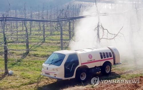 또 과수화상병…충주·제천 사과밭 10곳서 의심신고(종합)