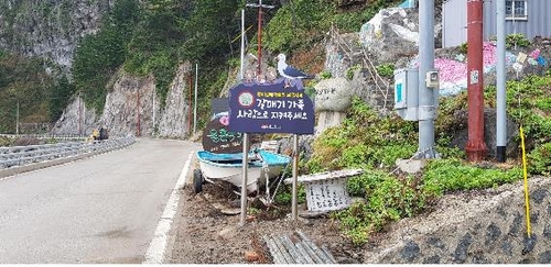 울릉도에 전국에서 첫 갈매기 보호 도로표지판 설치