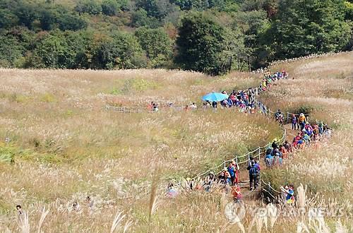 포천 명성산 억새 케이블카 타고 본다…7월 착공 예정