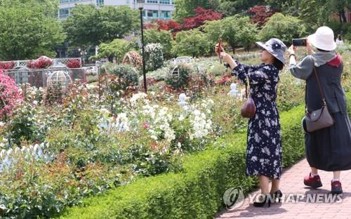 코로나19도 못 막는 봄의 유혹…산·바다·관광지 '북적'