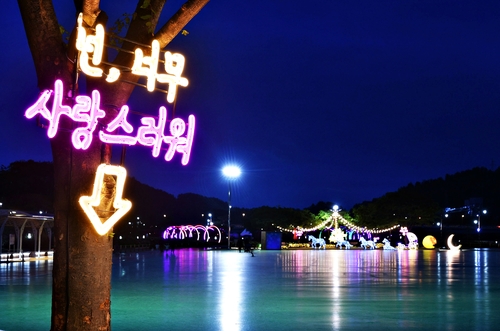 축제는 취소됐지만…삼척 오십천변 천만송이 장미 '활짝'