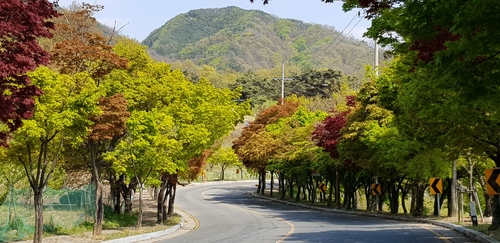 "드라이브로 코로나 스트레스 해소" 대구 오감만족 코스 선정