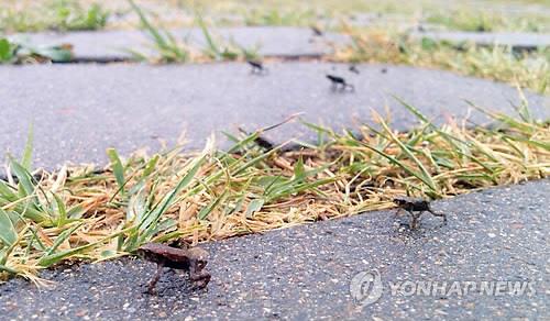 대구지법 "두꺼비 산란지 망월지는 '농업생산기반시설'"