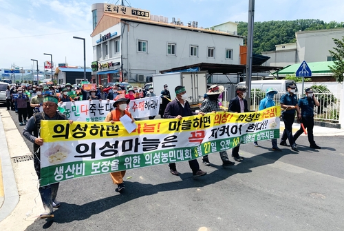 마늘 값 폭락에 재배 농가 시름…"생산비도 못 건져"(종합)