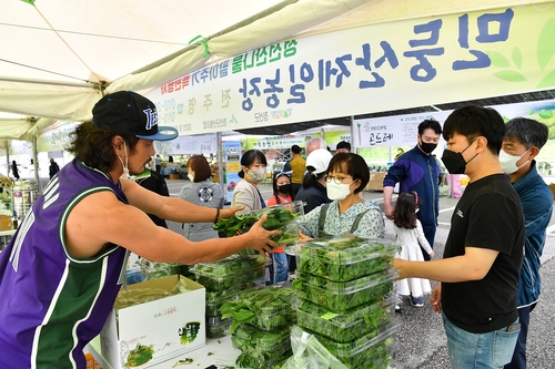 산림조합중앙회 30∼31일 '정선군 산나물 팔아주기 행사'