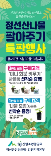 산림조합중앙회 30∼31일 '정선군 산나물 팔아주기 행사'