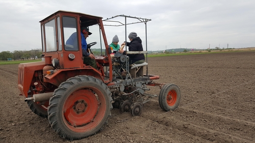 러시아 농토서 한국 콩나물콩 자라날까…연해주서 시험 재배