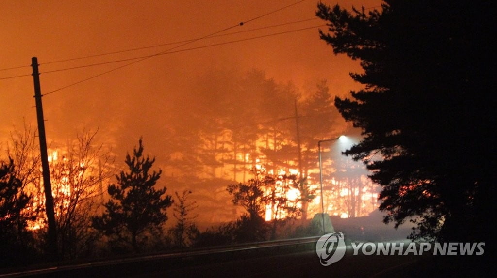 "고성 산불 진화에 소방차 314대·인력 1천846명 투입"