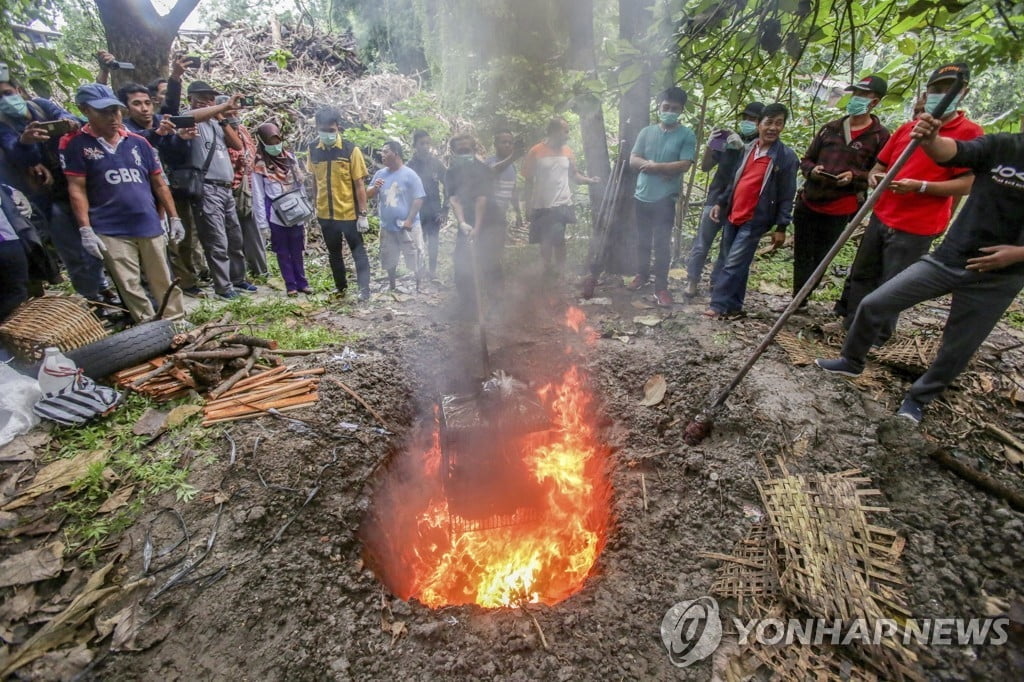 박쥐·비단뱀이 식탁에…코로나19에도 인니 `극한시장` 성업