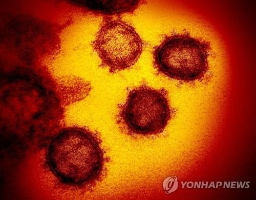 중국 "초기 코로나19 바이러스 일부 표본 폐기 지시" 인정
