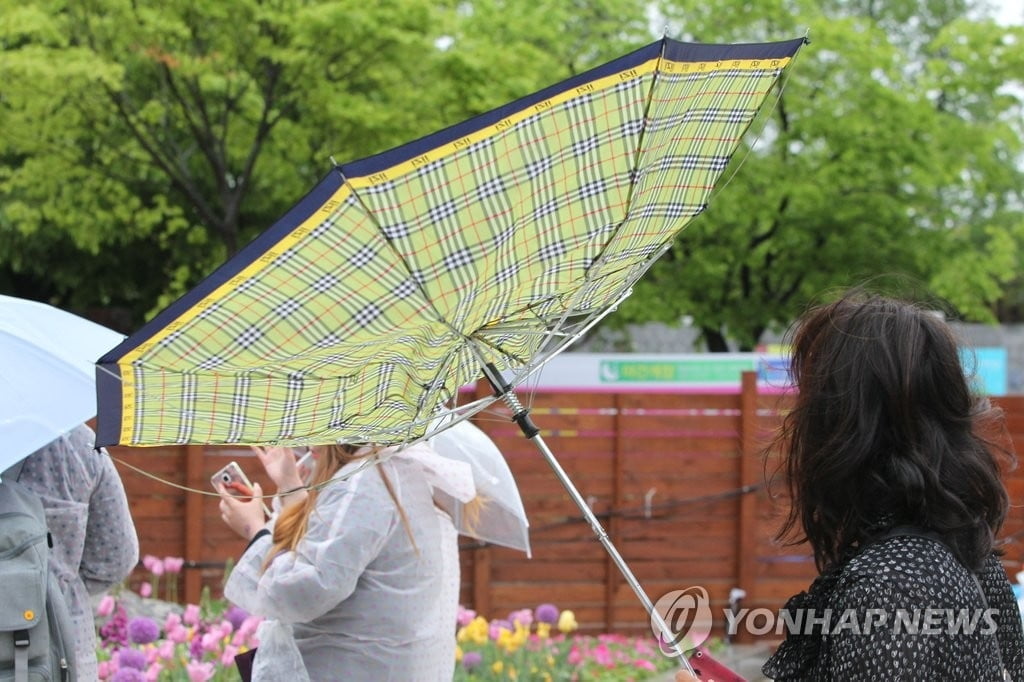 [날씨] 월요일 전국 많은 비…중부·경북내륙 우박 주의