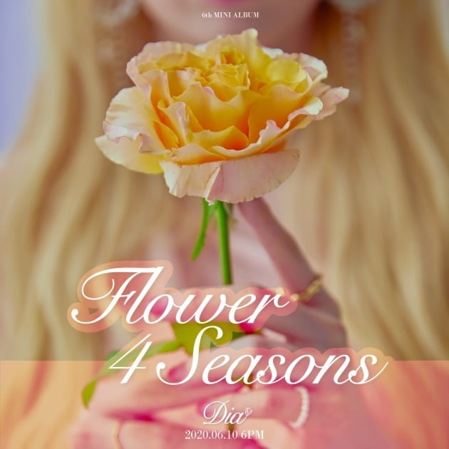 다이아 미니 6집 'Flower 4 seasons' 로고 이미지./ 사진제공=포켓돌스튜디오