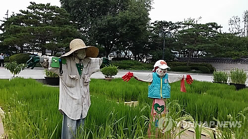 10년새 고수익 농가 비중↓…고령화·여력 부족에 투자 정체