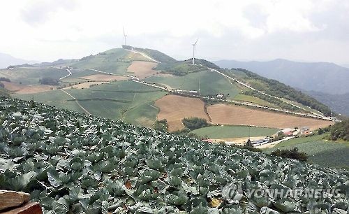 고랭지 흙탕물 줄이자…농법 변경·경작지 매입 나서