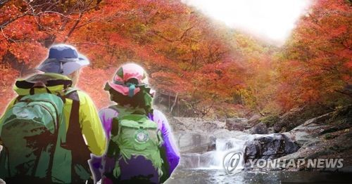 어버이날, 남편과 산행중 실종된 80대 치매노인 극적 구조