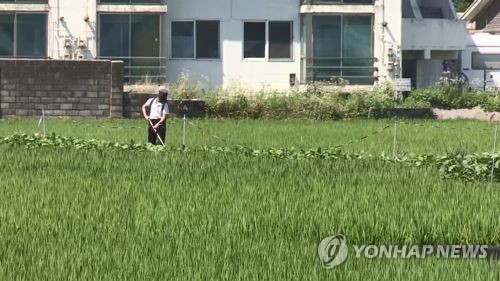 10년새 고수익 농가 비중↓…고령화·여력 부족에 투자 정체